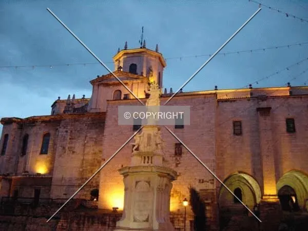 Photo 175-194-935