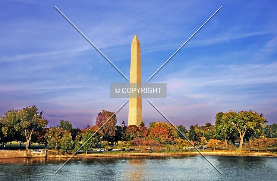 Photo 175-209-257