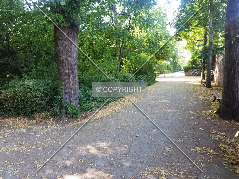 Photo 175-238-931