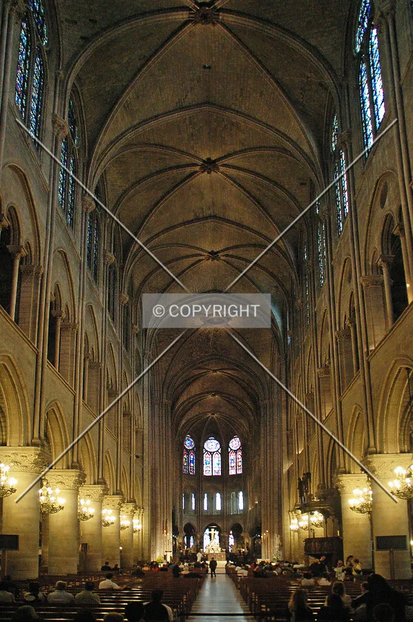 Photo 175-290-476