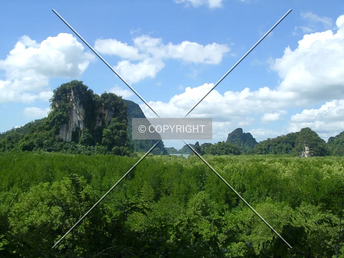 Photo 175-496-770