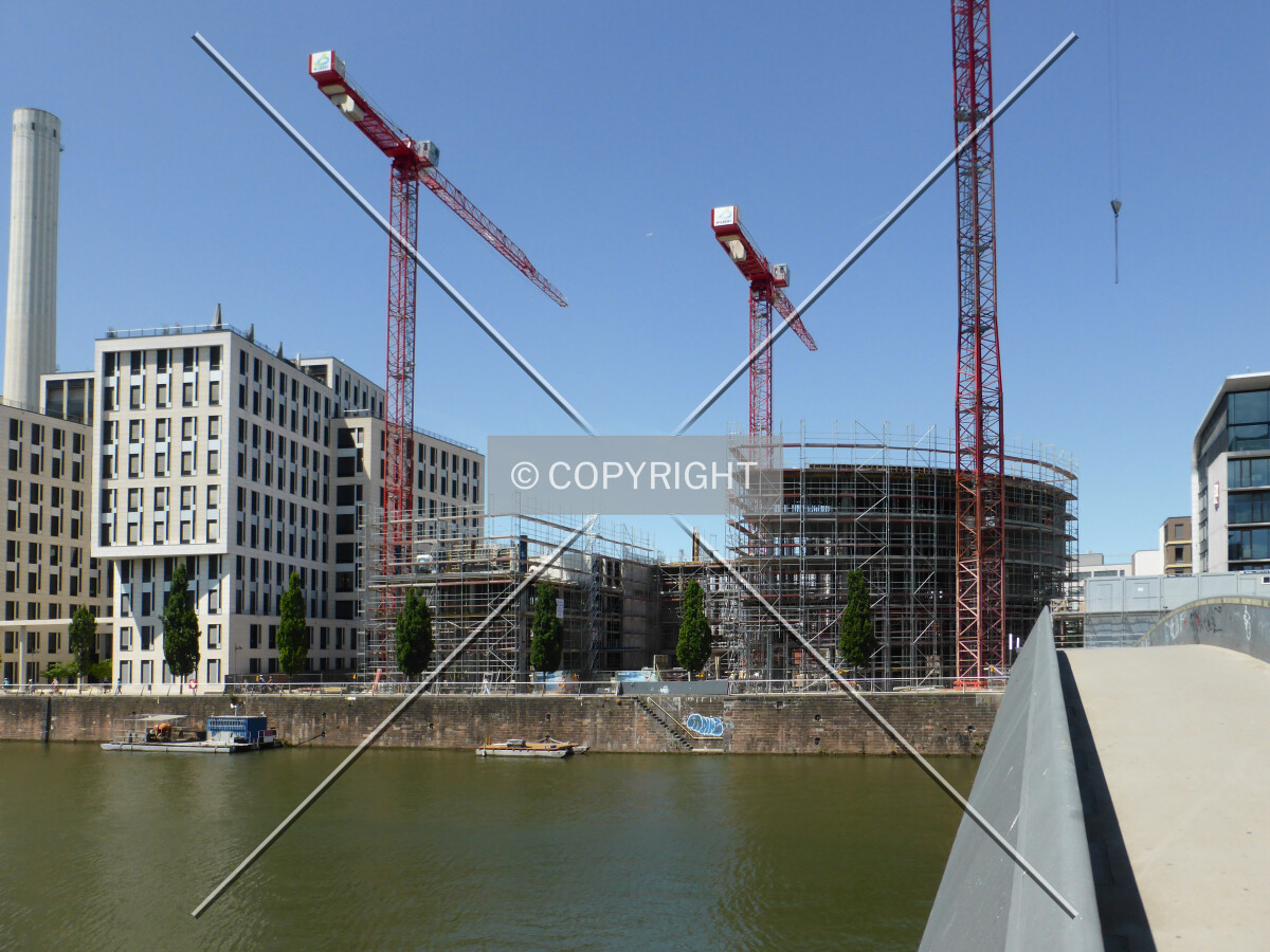 Photo 175-538-727