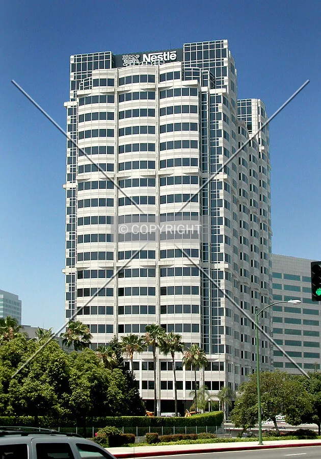 View from the northeast