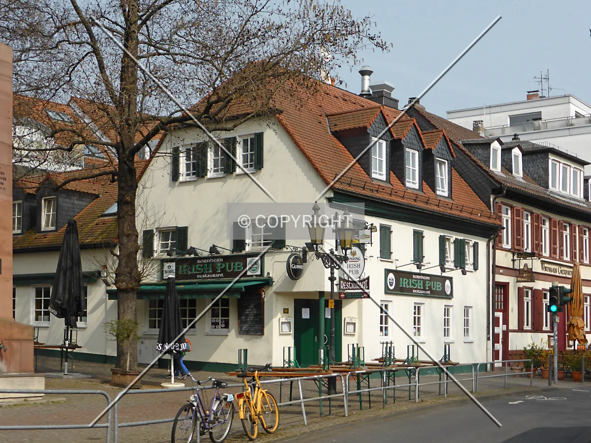 Photo 175-985-493