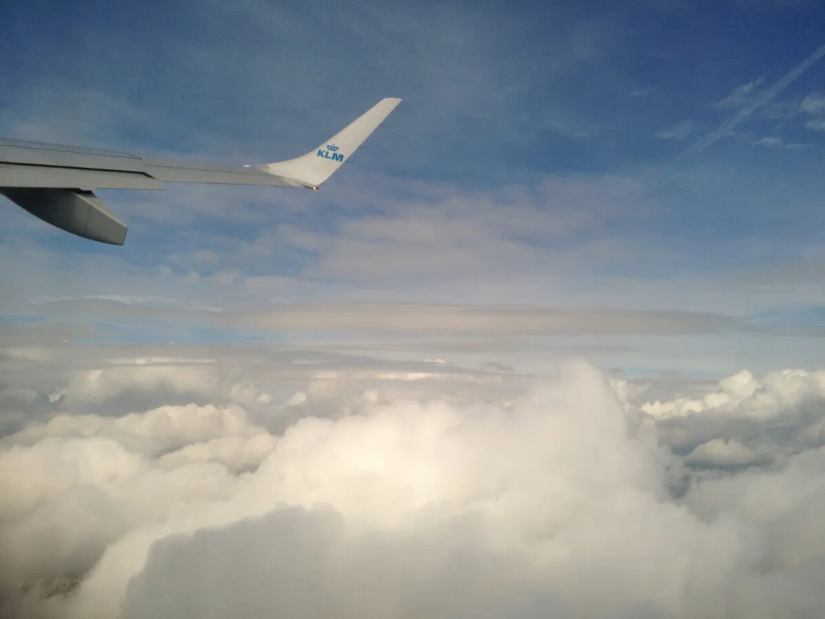 Photo 176-010-915