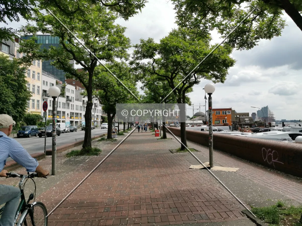 Photo 176-021-431