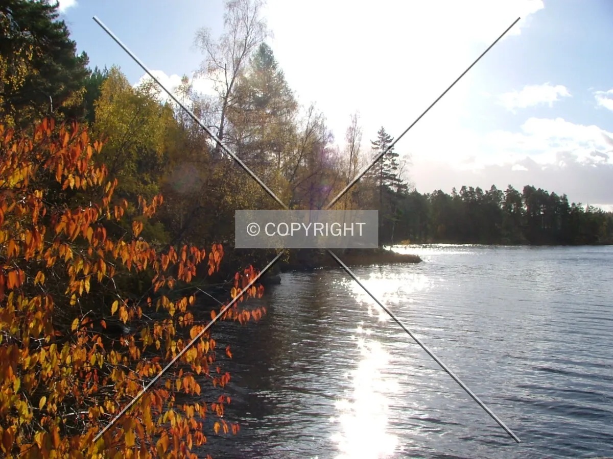Photo 176-041-262