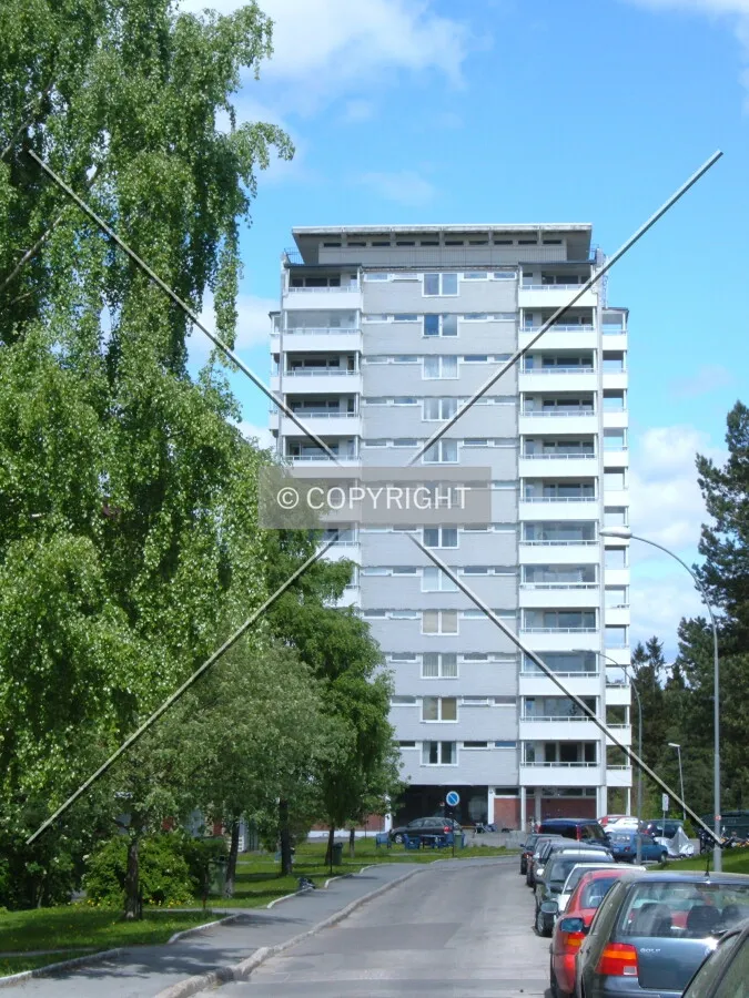 View from the south