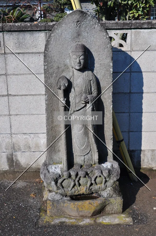 Photo 176-436-345