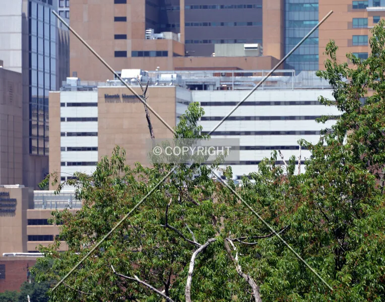 Photo 176-524-701