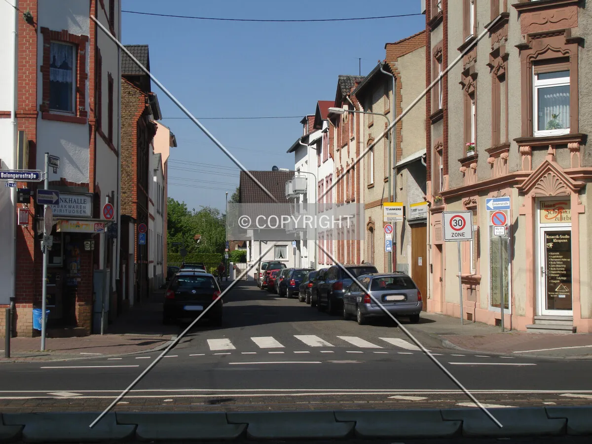 Photo 176-969-983