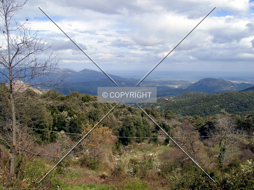 Photo 177-018-966