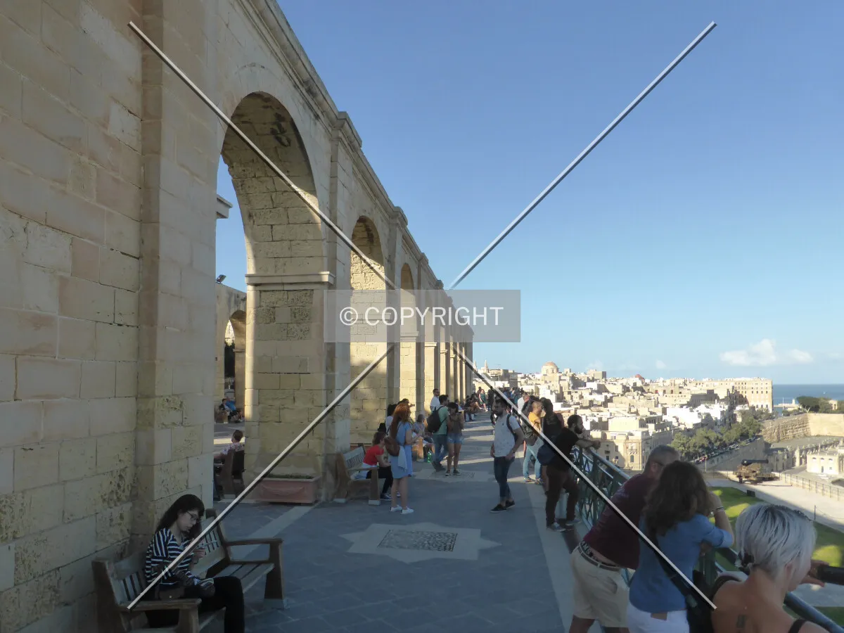 Photo 177-226-241