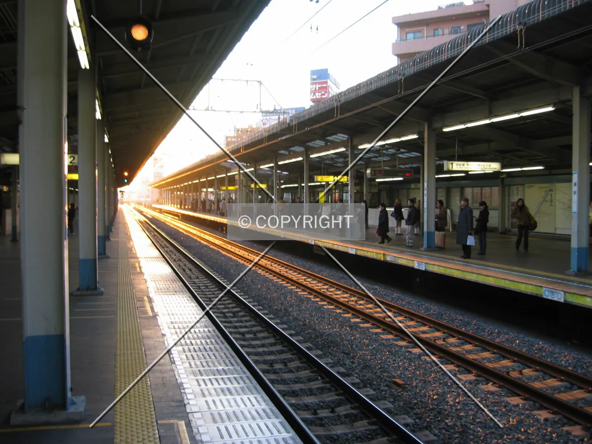 Photo 177-311-516