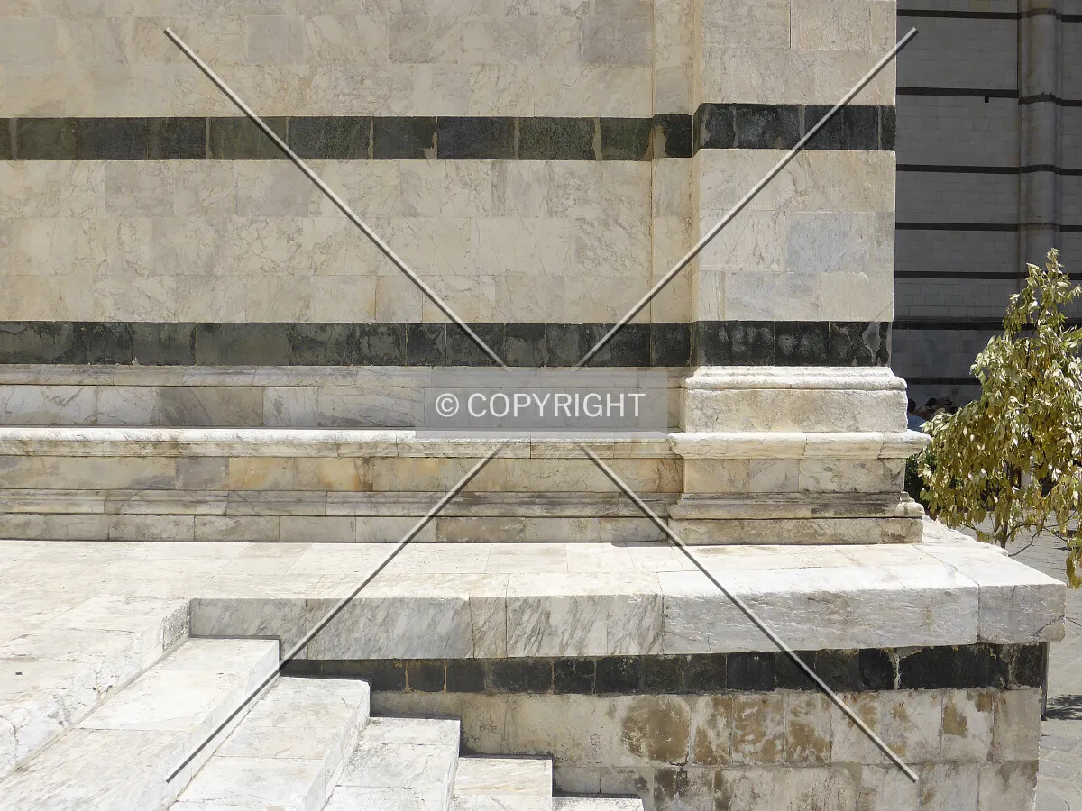 Photo 177-333-153
