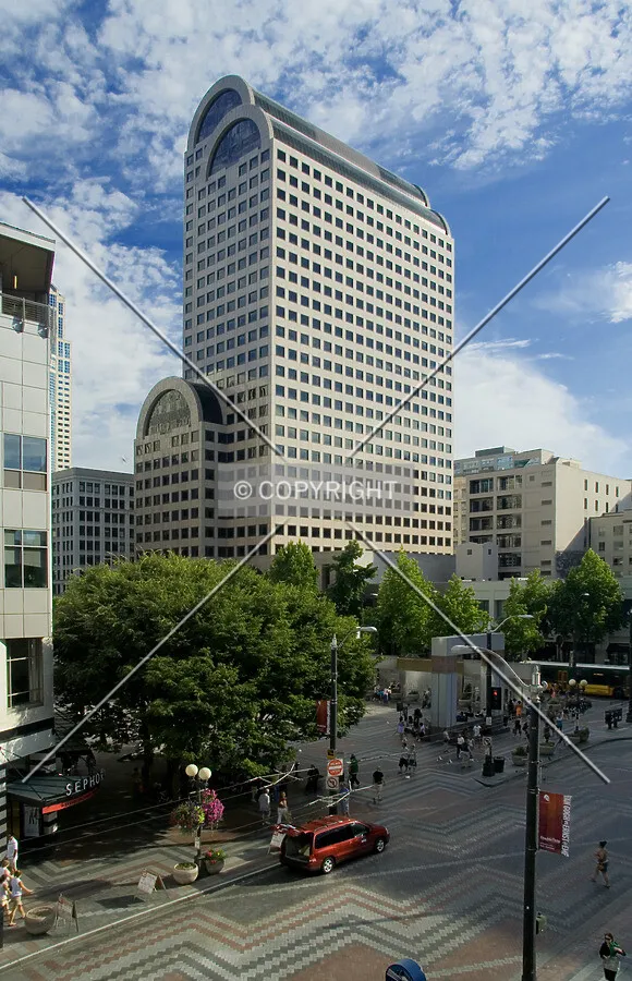 View from the north