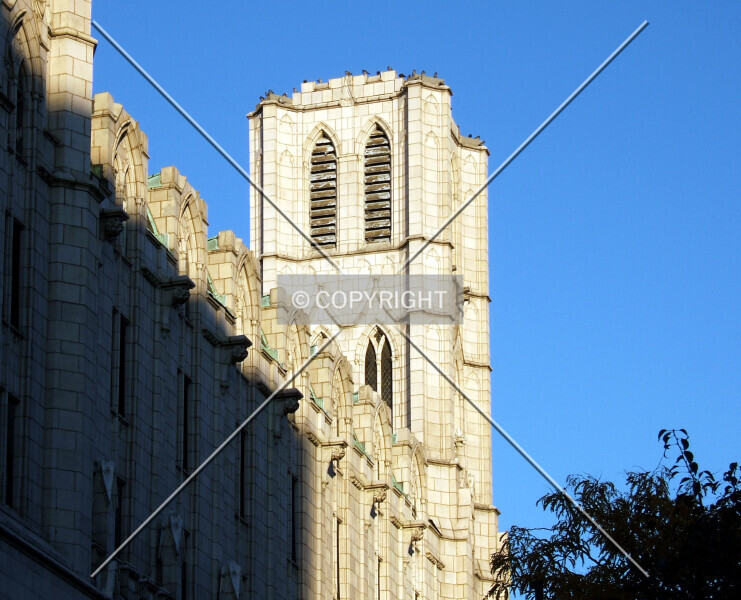 Photo 177-497-585