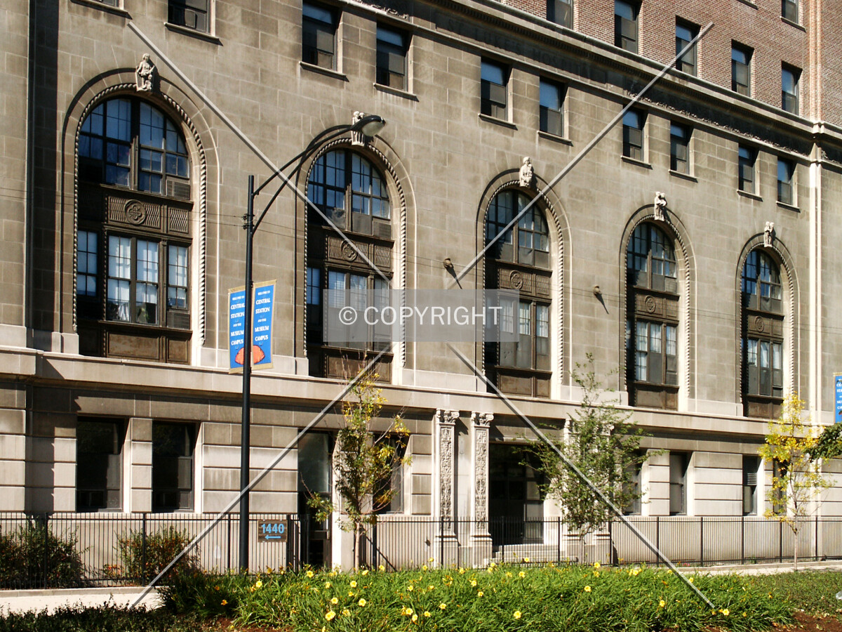 Arched windows on Indiana Avenue