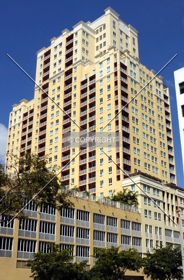 View from the southeast