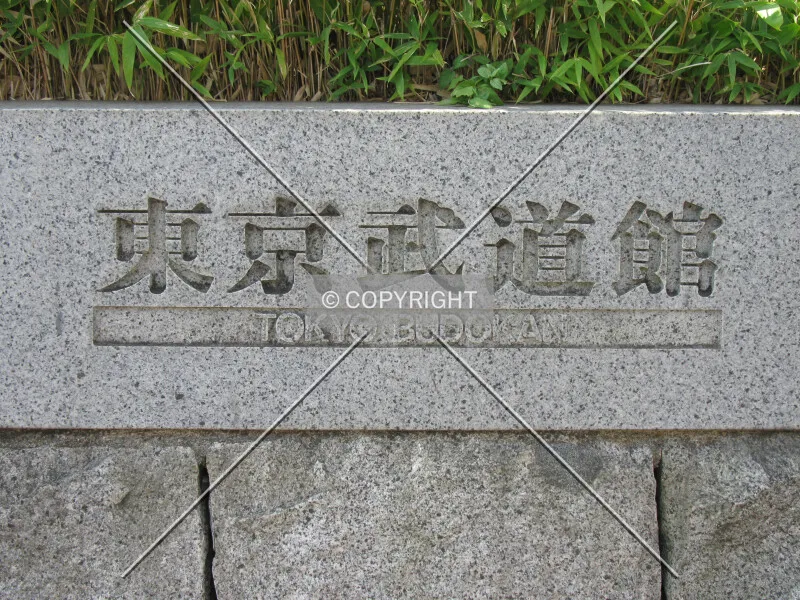 Photo 177-946-859
