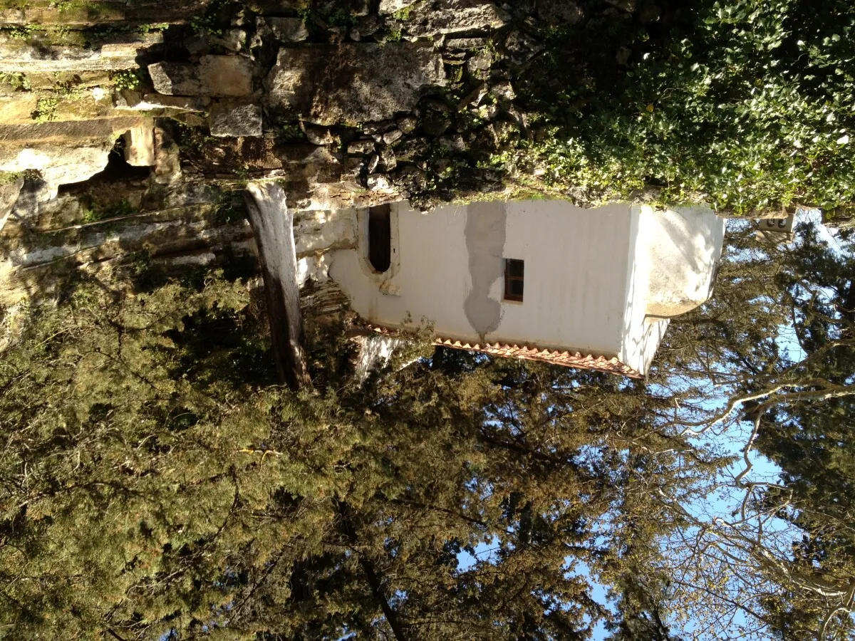 Photo 178-011-688