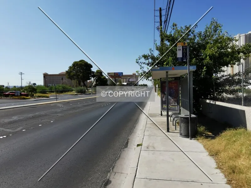 Photo 178-046-470