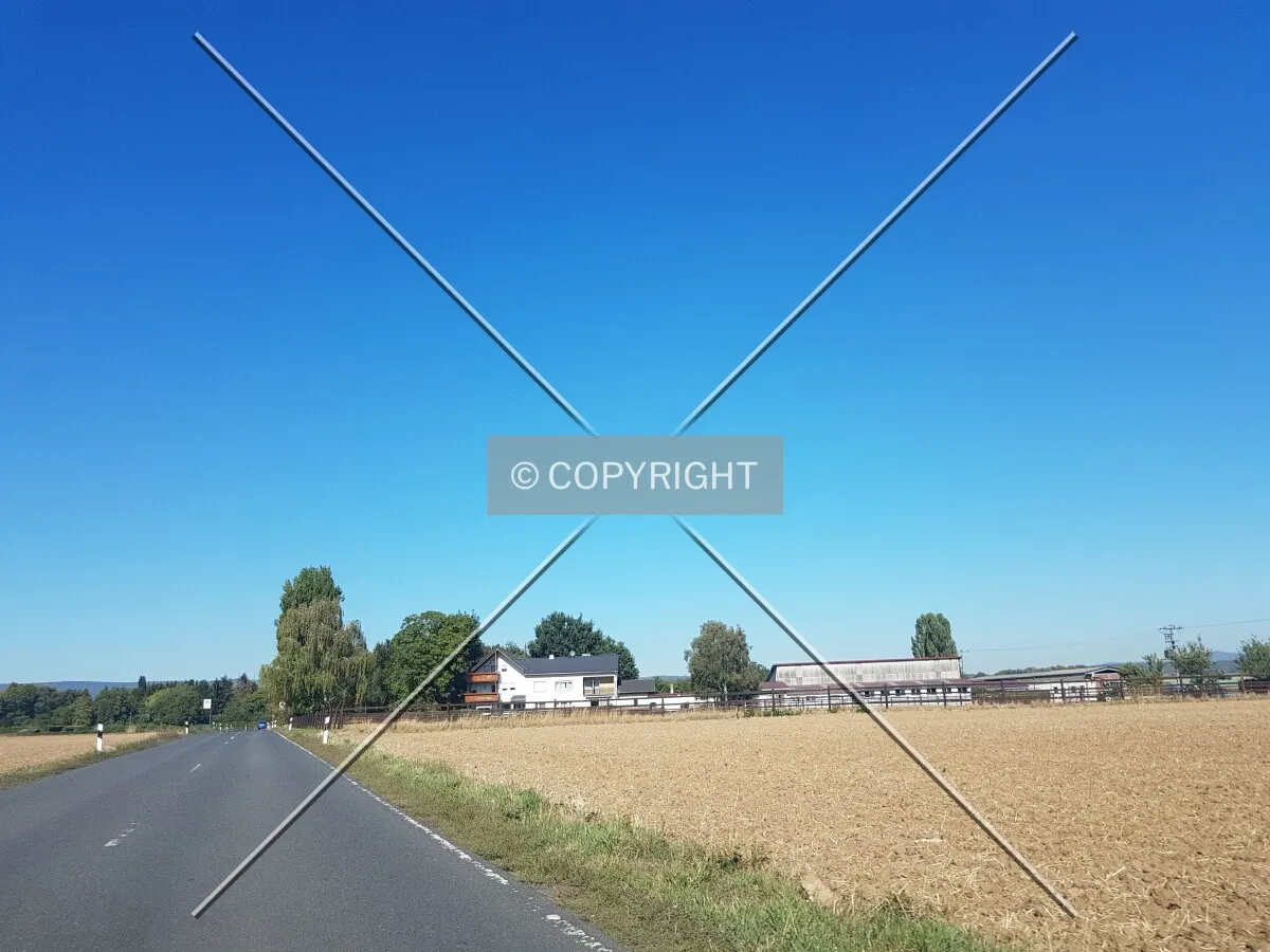 Photo 178-335-244