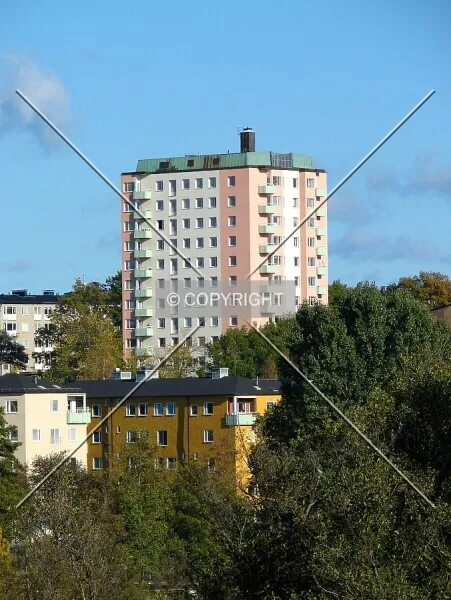 Photo 178-509-746