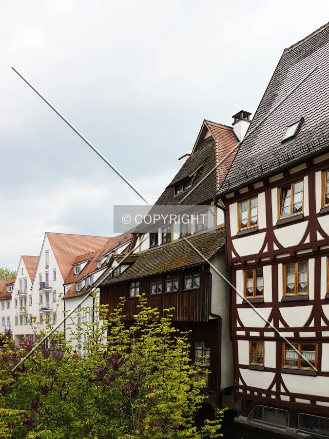 Photo 178-645-001