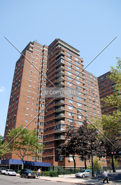 Photo 178-798-440