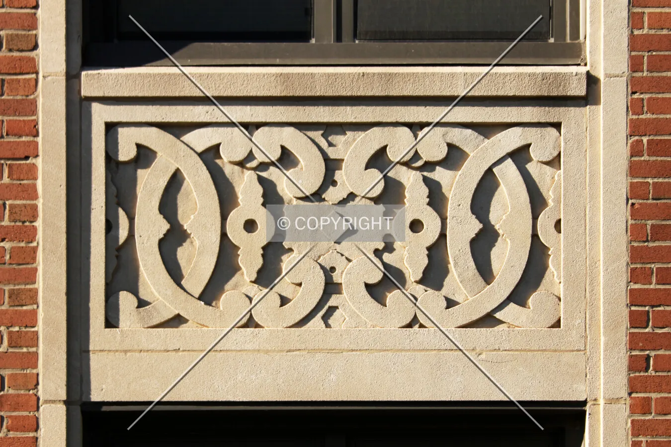 Photo 178-808-875