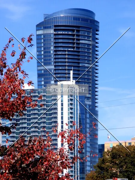 Photo 178-901-242