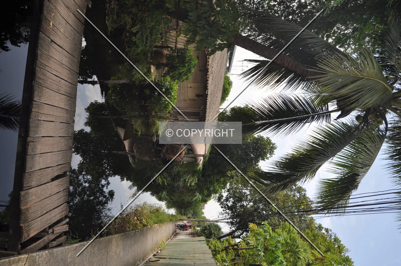 Photo 178-902-741