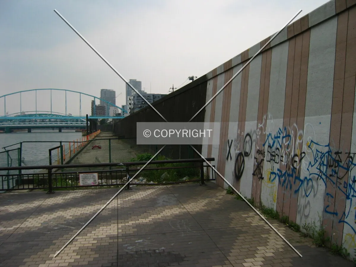 Photo 178-977-590