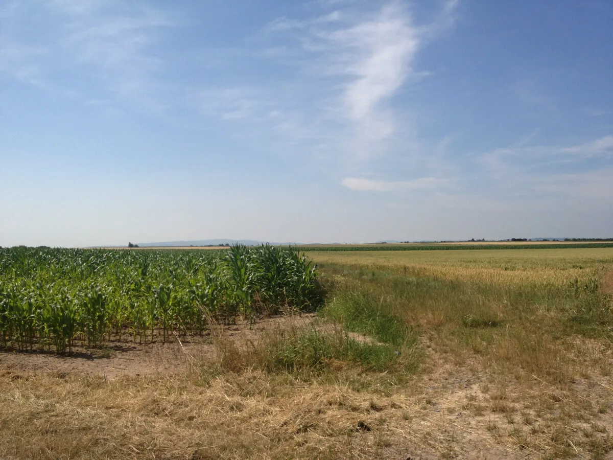 Photo 179-204-941