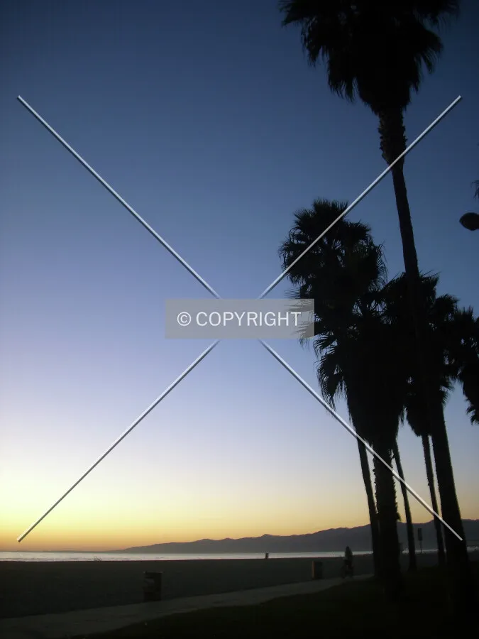 Photo 179-291-892