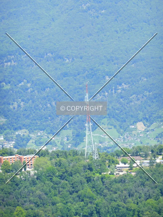 Photo 179-457-892