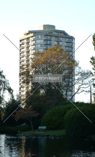 Photo 179-491-275