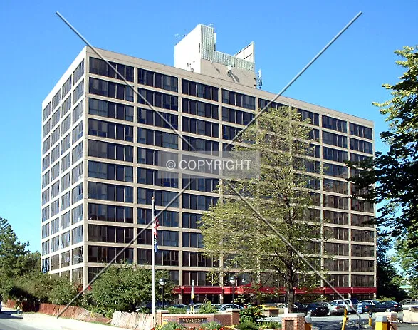 View from the east