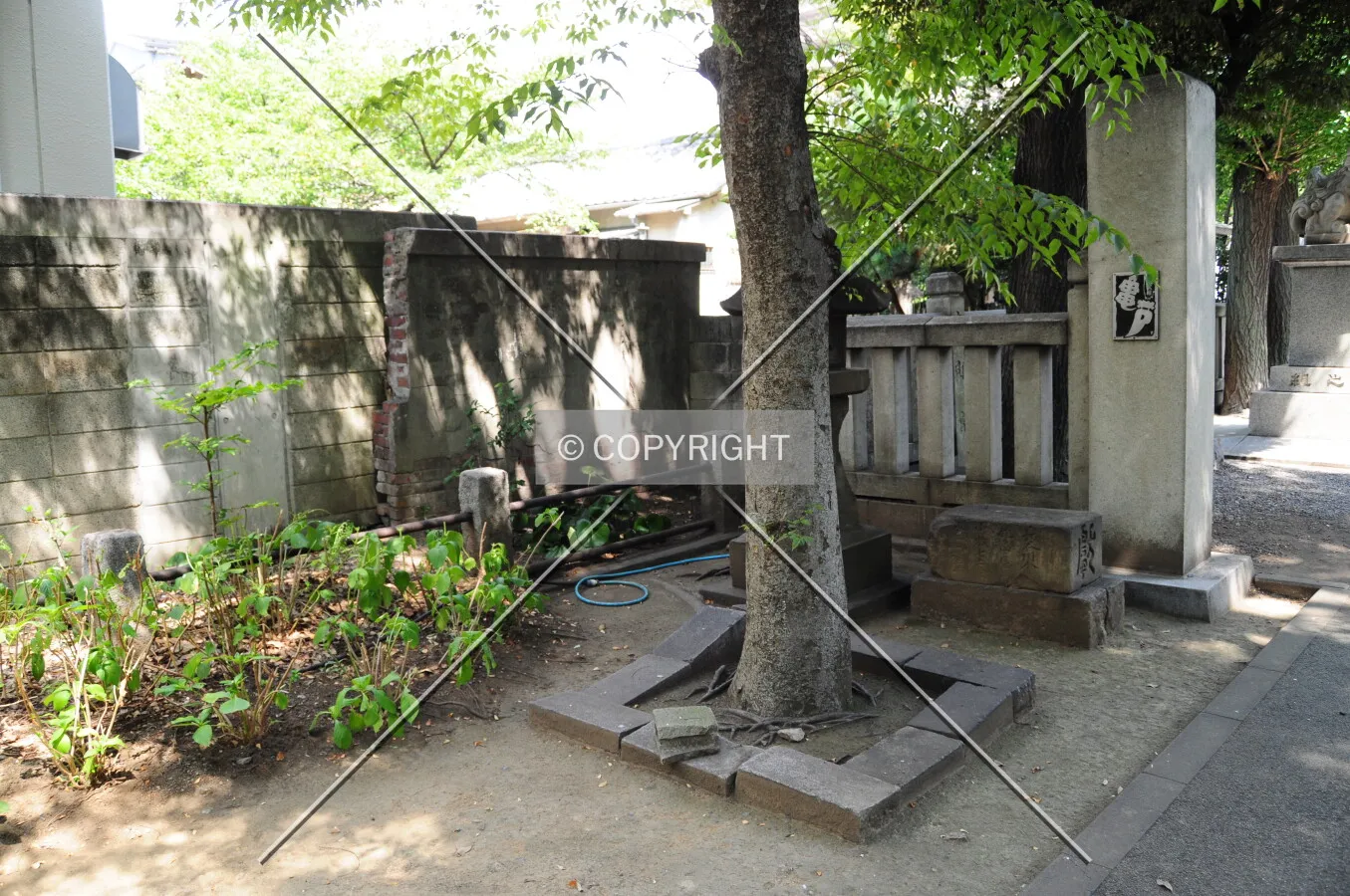 Photo 179-598-061