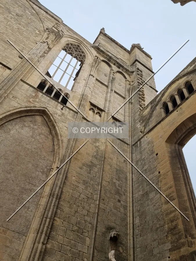 Photo 179-607-586