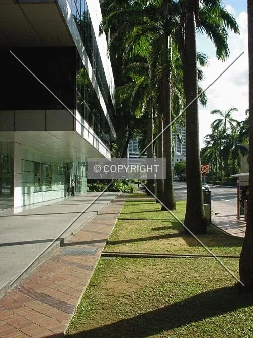 View of the plaza