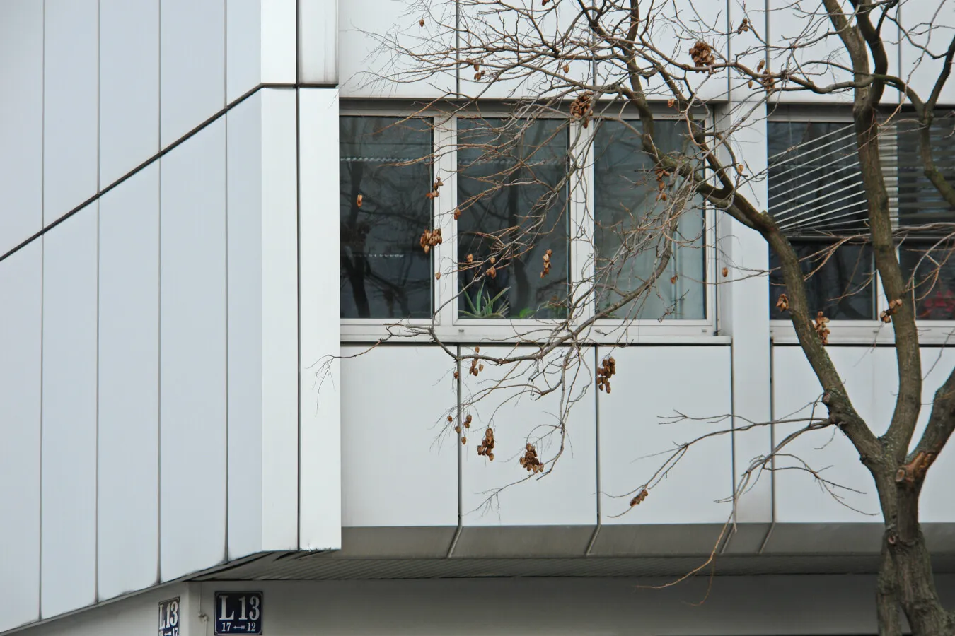 Photo 180-263-243