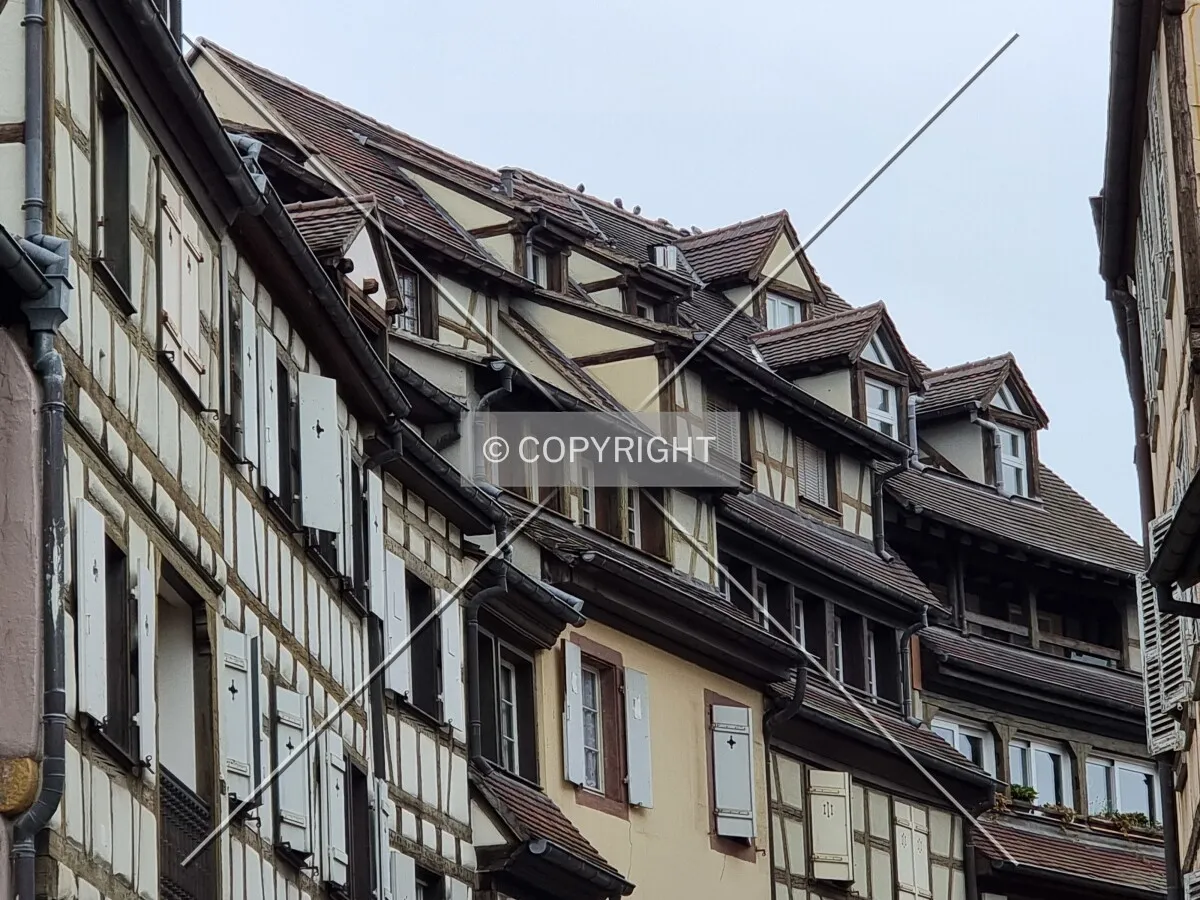 Photo 180-283-455