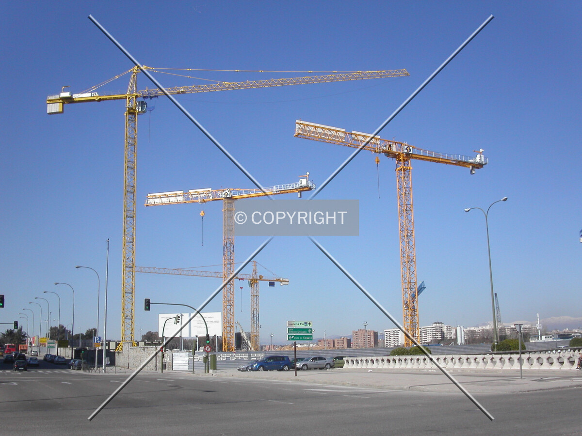 Cranes rising