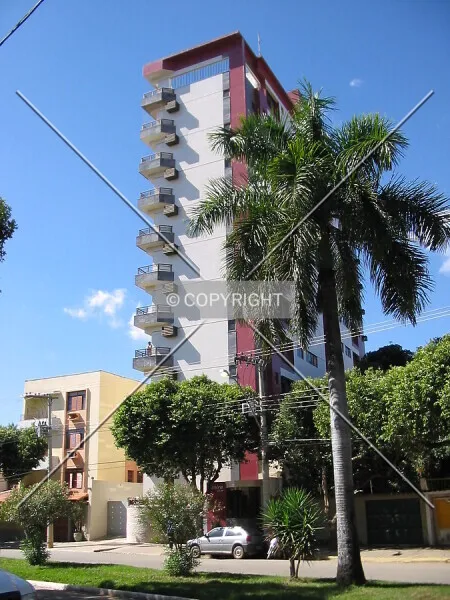 Photo 180-556-892