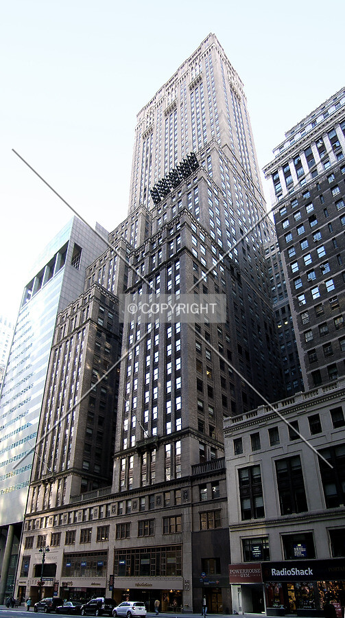 View from the north