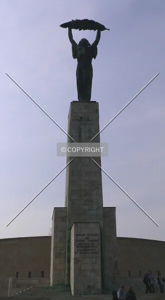Photo 180-795-102