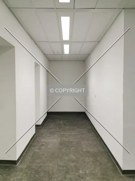 Photo 181-019-470