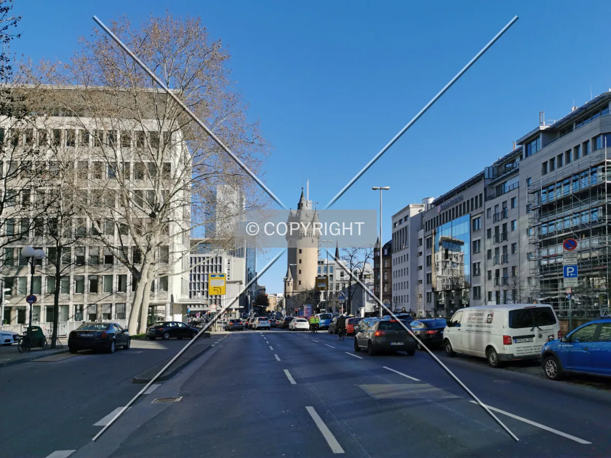 Photo 181-183-542